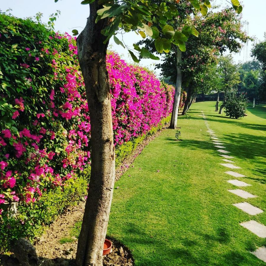 Trident Agra Hotel Agra  Eksteriør billede The campus